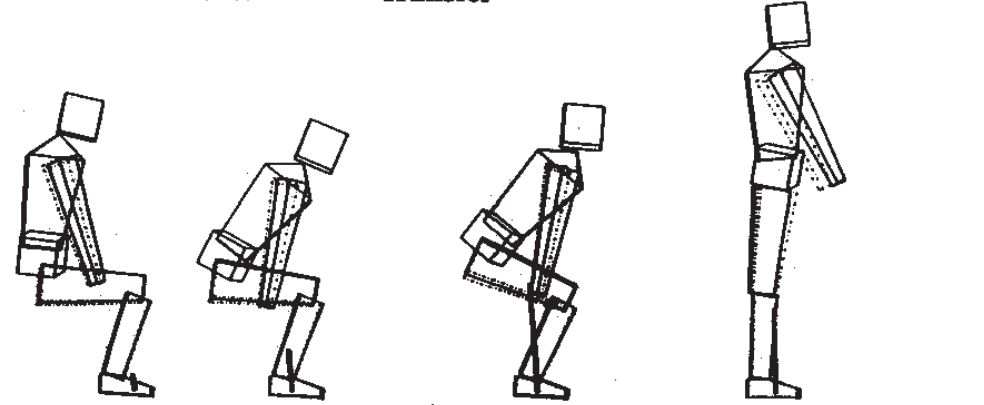 sit to stand
